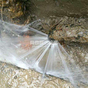 涞水消防管道漏水检测